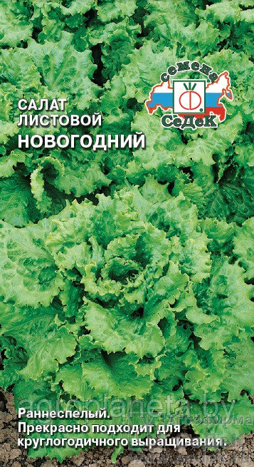 Салат листовой НОВОГОДНИЙ, 0.5г