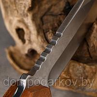 Нож тактический "Торстейн" Мастер К 25см, рукоять с кольцом, фото 5