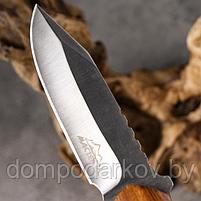 Нож тактический "Торстейн" Мастер К 25см, рукоять с кольцом, фото 4