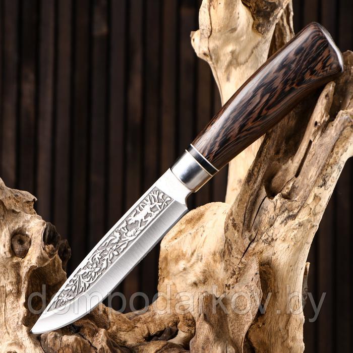 Нож охотничий "Лес" 27см, рукоять микс - фото 3 - id-p177276414