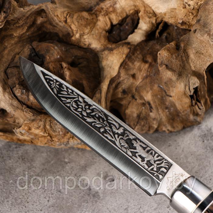 Нож охотничий "Лес" 27см, рукоять микс - фото 5 - id-p177276414
