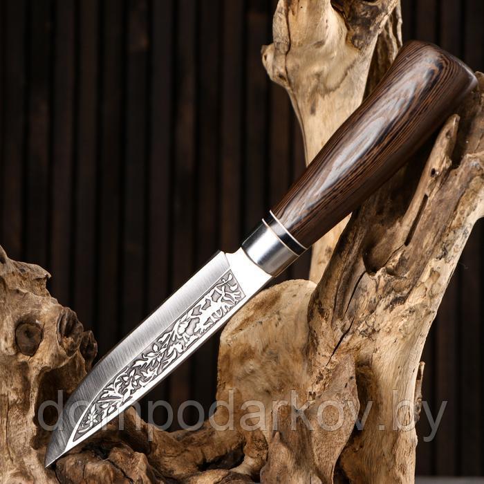 Нож охотничий "Лес" 27см, рукоять микс - фото 4 - id-p177276414