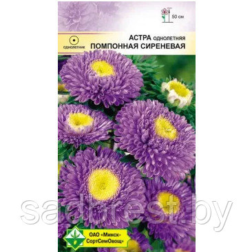Семена Астра Помпонная Сиреневая (0.3 гр) МССО