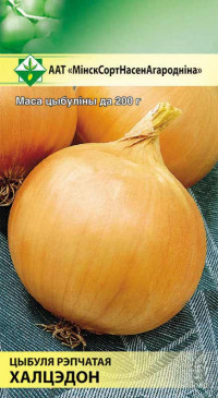 Семена Лук Халцедон (0.5 гр) МССО