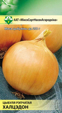 Семена Лук Халцедон(0.5 гр) МССО