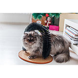 Комплекс для кошек с когтеточкой и аркой-чесалкой, фото 5