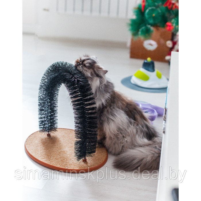 Комплекс для кошек с когтеточкой и аркой-чесалкой - фото 6 - id-p176828479