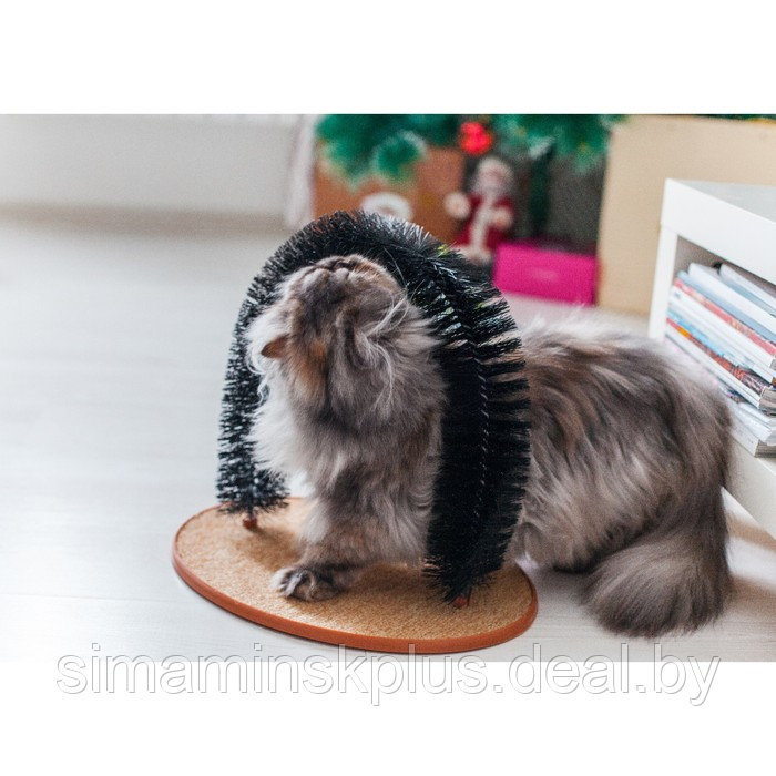 Комплекс для кошек с когтеточкой и аркой-чесалкой - фото 7 - id-p176828479