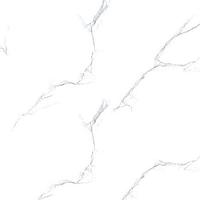 Керамогранит Netto Stardust marmo white sugar 600×600