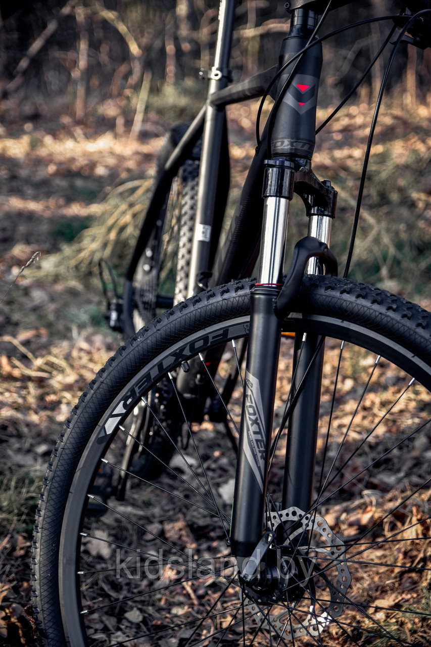 Велосипед Foxter ChicaGO 29'' 8*3x (черный) - фото 2 - id-p176845067