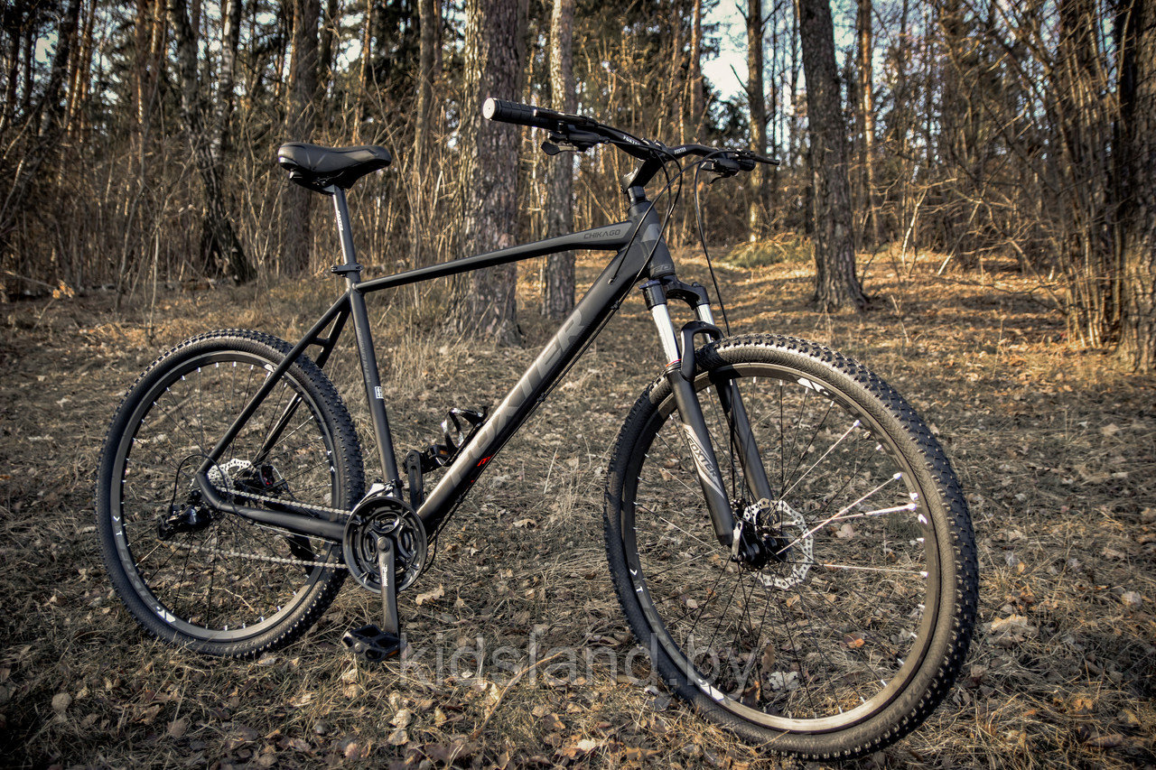 Велосипед Foxter ChicaGO 29'' 8*3x (черный) - фото 1 - id-p176845067