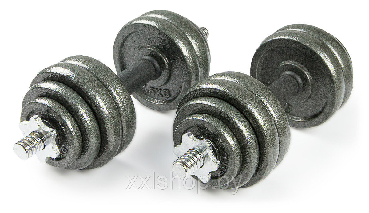 Набор металлических гантелей Atlas Sport 2х15 кг - фото 1 - id-p177320713