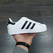 Кроссовки Adidas Superstar White / Black, фото 2