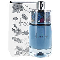 AJMAL SHADOW Grey edp на распив