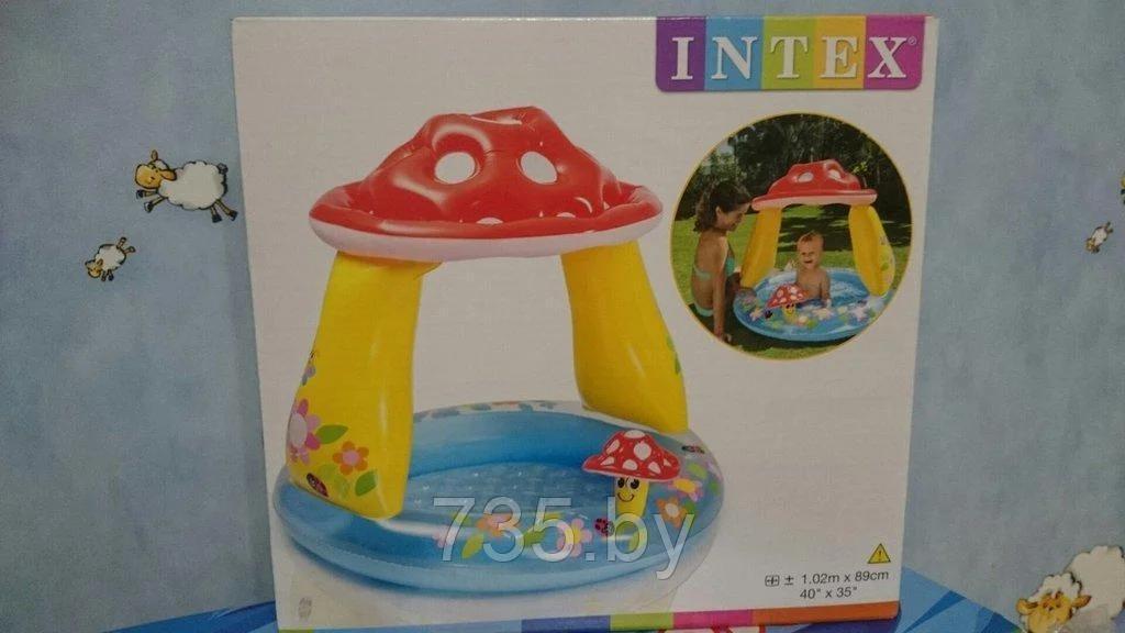 Детский надувной бассейн Intex Гриб (размер 102х89 см) - фото 2 - id-p177411432