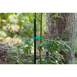 Тапенер для подвязки растений Tapetool «B», лента 25 м + скобы, Greengo, фото 7