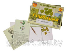 Гербарий "Сельскохозяйственные растения" (30 видов, с иллюстрациями)