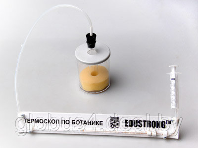Термоскоп по ботанике (демонстрационный) - фото 1 - id-p22301841