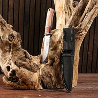 Нож охотничий "Атли", светлая рукоять, 16 см, клинок 8 см