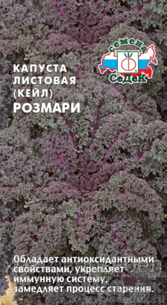 Капуста листовая Розмари (Кейл) 0.3г Ср (Седек) - фото 1 - id-p177496255