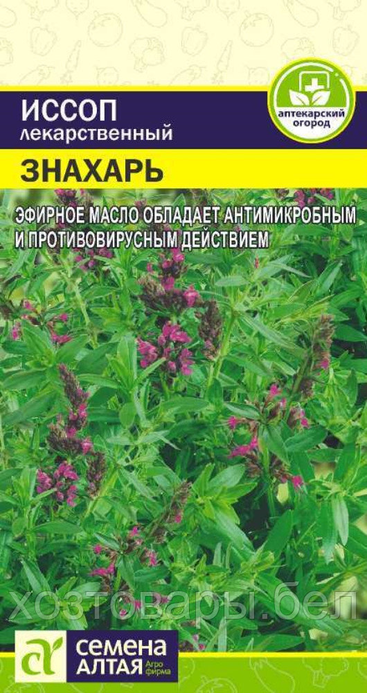 Иссоп Знахарь лекарственный 0,2г (Сем Алт) Аптекарский огород - фото 1 - id-p177496259