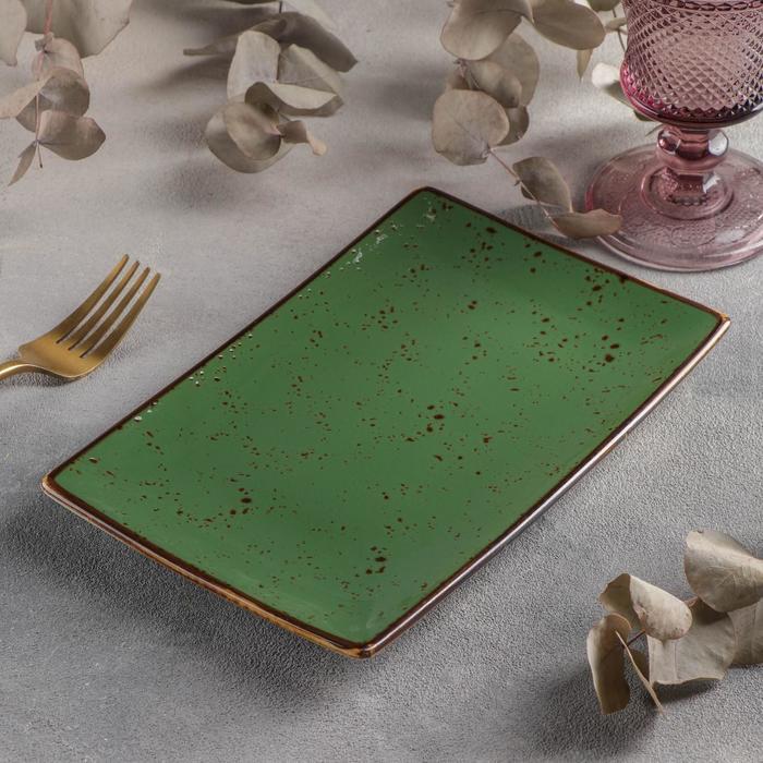Блюдо керамическое прямоугольное «Созвездие», 22×14 см, цвет зелёный - фото 2 - id-p177024829