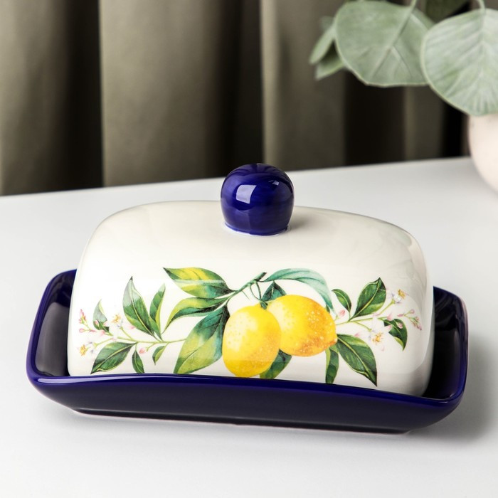 Маслёнка Доляна «Лимон», 17×12×8,5 см, цвет белый - фото 1 - id-p177021827