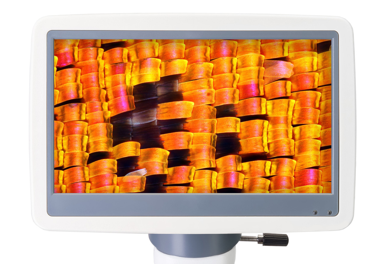 Микроскоп цифровой Levenhuk D95L LCD, монокулярный - фото 6 - id-p177499081