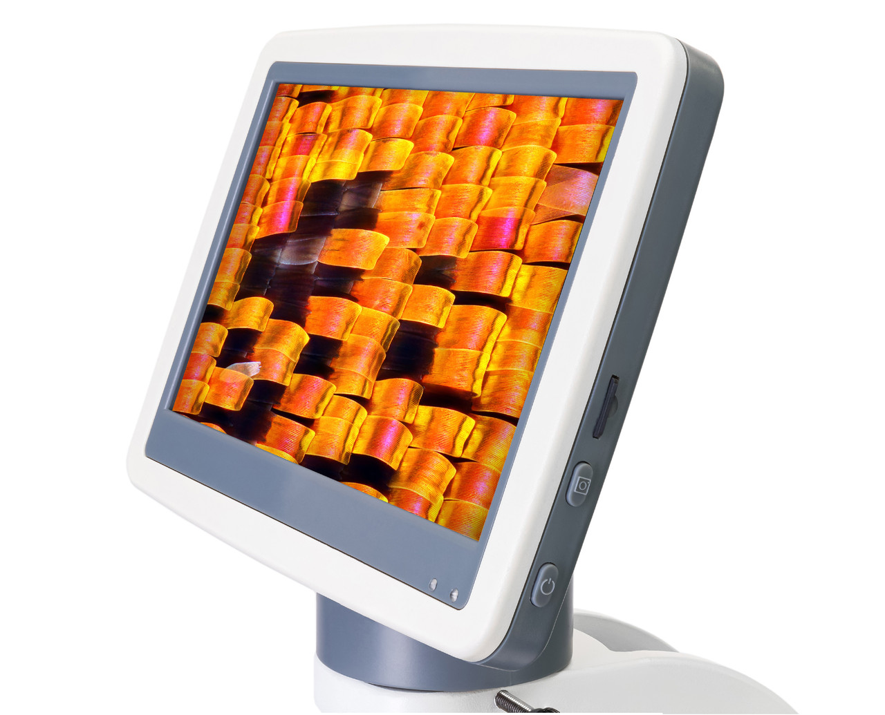 Микроскоп цифровой Levenhuk D95L LCD, монокулярный - фото 7 - id-p177499081