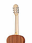 Kremona S65S-GG Sofia Soloist Series Green Globe Классическая гитара, ель, размер 4/4, фото 6