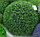Искусственное растение ForGarden Самшит Rice Leaves Grass Ball / FGN BF00606, фото 2