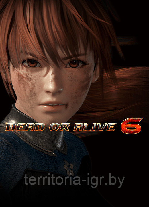 DEAD OR ALIVE 6 DVD-2 (Копия лицензии) PC
