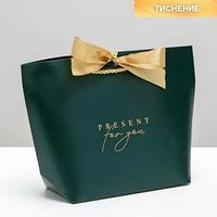 Пакет подарочный ламинированный "Present for you" 28*20*9 см