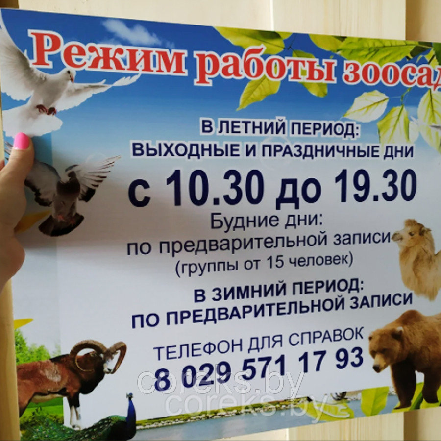 Вывеска режим работы на поликарбонате (50*40 см)