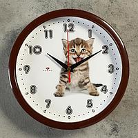 Часы настенные "Котёнок", "Рубин", 22х22 см, фото 1