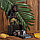 Сувенир дерево календарь "Абориген фермер" 23х11,5х7 см, фото 2