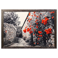 Картина велюр "Кусты красных роз" 100х70 (105х74) см