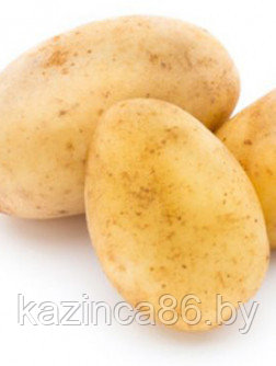 Картофель семенной Лисана   (ЭЛИТА) 1кг.