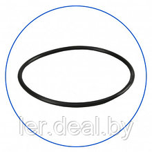 OR-N-1524X57  уплотнительное кольцо для Aquafilter FH10B1-B-WB