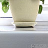 Пленка из ПВХ для подоконника 140x30 см Тепломакс Гибкое стекло (толщина 0.7 мм), фото 4