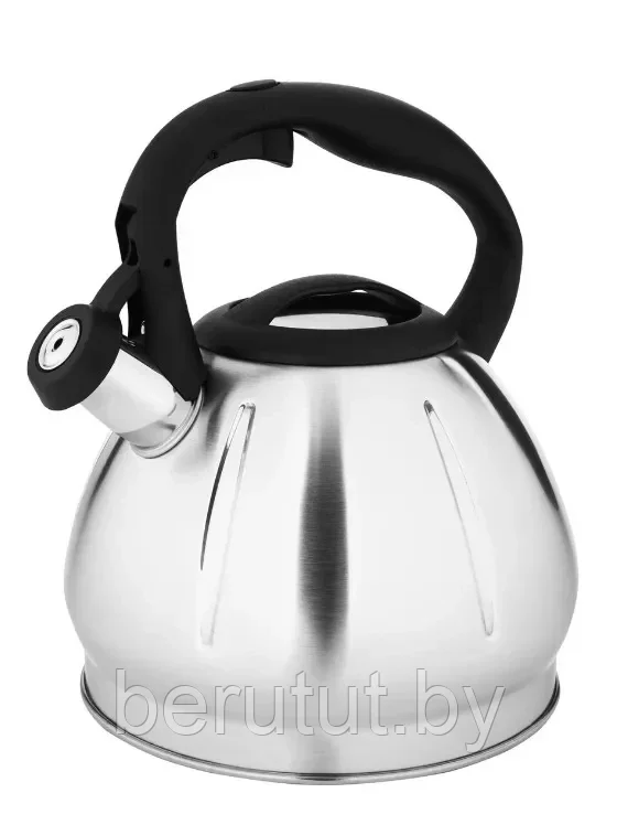 Чайник со свистком Hoffmann 3 л для всех видов плит (индукция) - фото 1 - id-p177844924