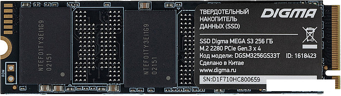 SSD Digma Mega S3 256GB DGSM3256GS33T - фото 1 - id-p177351576