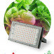 Фитопрожектор для растений светодиодный ЭРА FITO-80W-RB-LED-Y красно-синего спектра, фото 2
