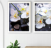 Модульная картина для интерьера размер 99x43 см Орхидея, фото 3