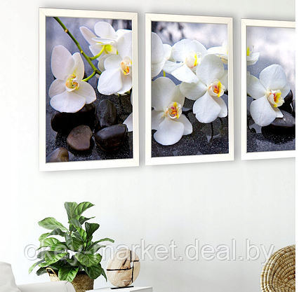 Модульная картина для интерьера размер 99x43 см Орхидея, фото 3