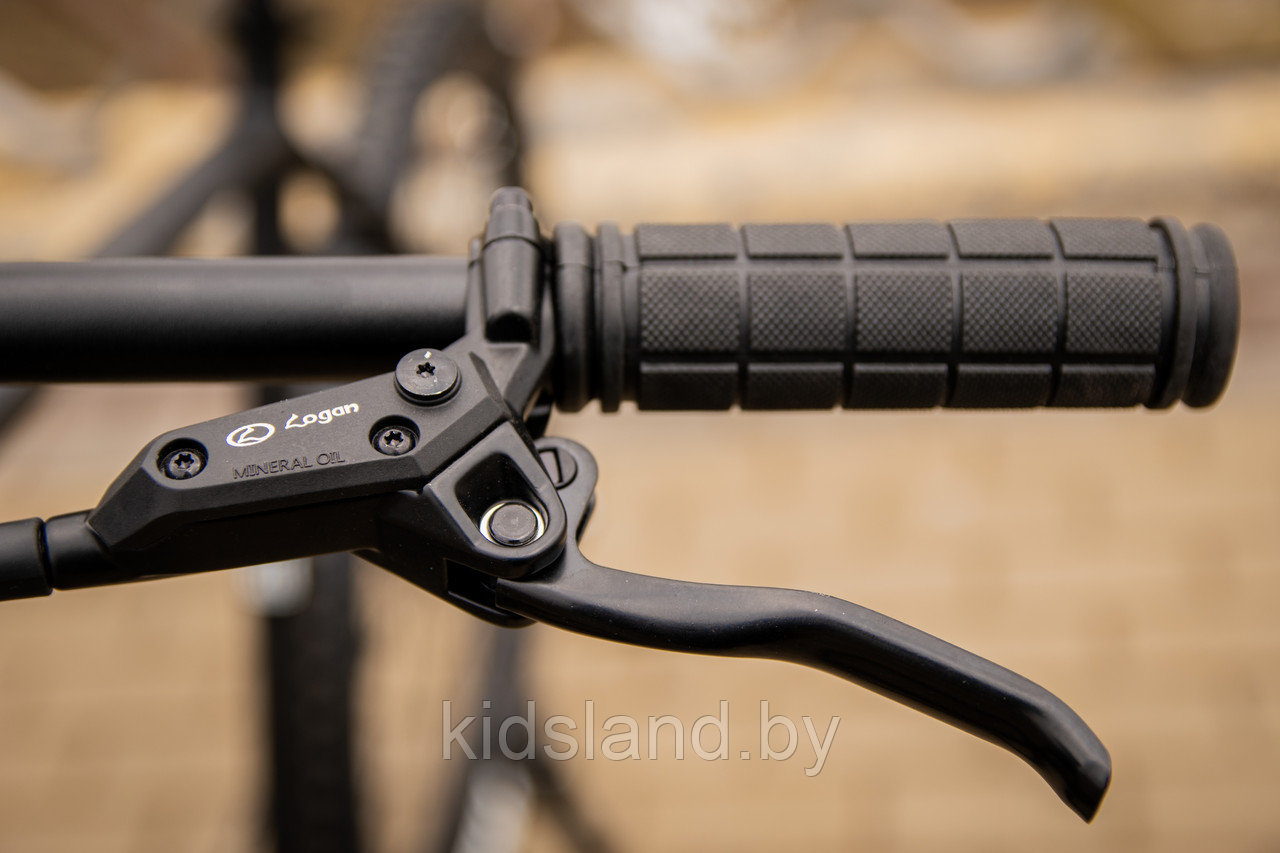 Велосипед Foxter ChicaGO 29'' 10x 36T (черный матовый) - фото 3 - id-p177903703