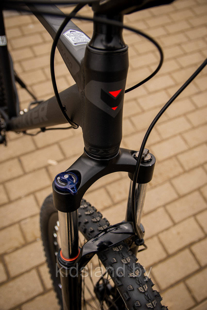 Велосипед Foxter ChicaGO 29'' 10x 36T (черный матовый) - фото 6 - id-p177903703