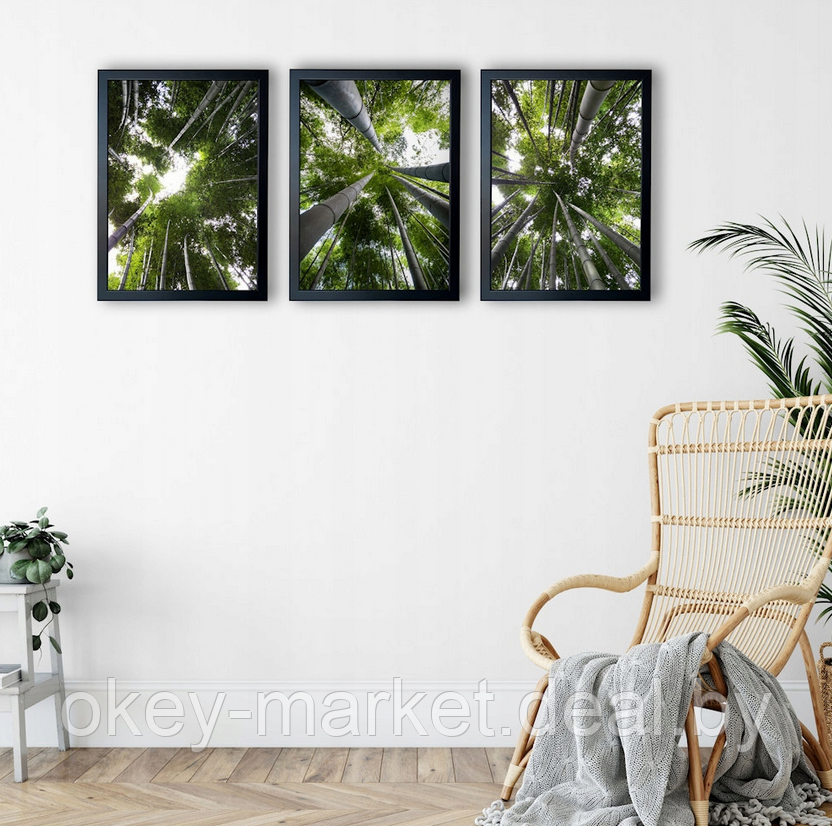 Модульная картина для интерьера размер 99x43 см Бамбуковый лес - фото 3 - id-p177904031
