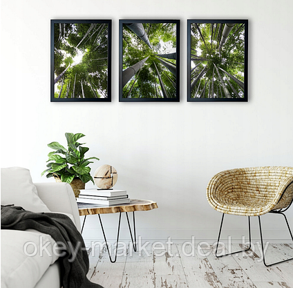 Модульная картина для интерьера размер 99x43 см Бамбуковый лес, фото 3
