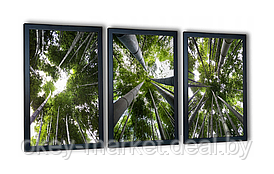Модульная картина для интерьера размер 99x43 см Бамбуковый лес